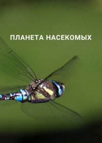 Планета насекомых