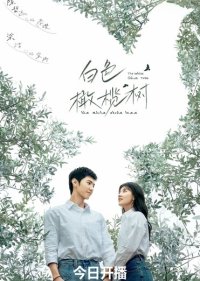 Белое оливковое дерево