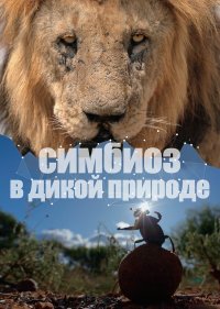 Симбиоз в дикой природе