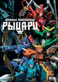 Истинные чудотворные рыцари